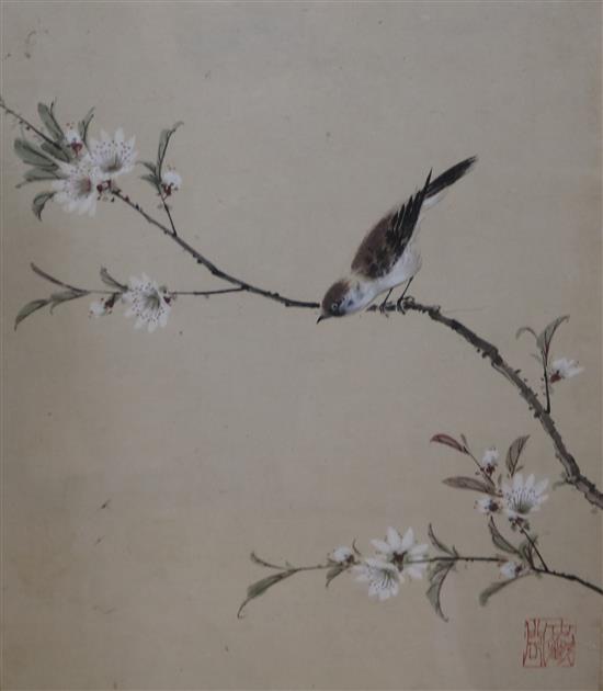 Chinese School Studies of birds and flowers 14.5 x 11.5in.